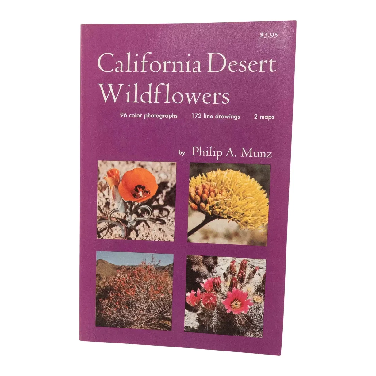 California Desert Wildflowers by Philip A. Munz